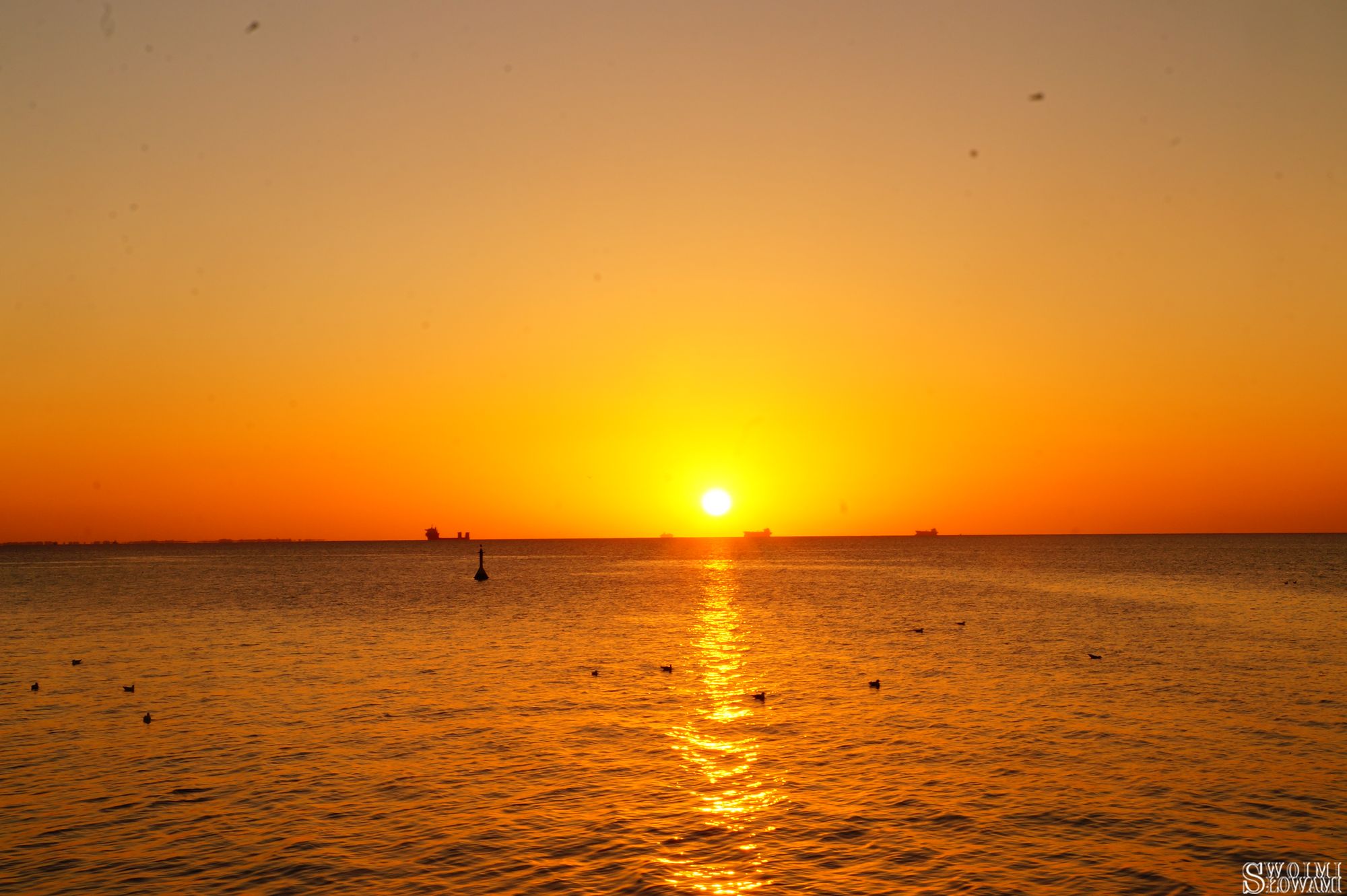 Sopot 51.jpg